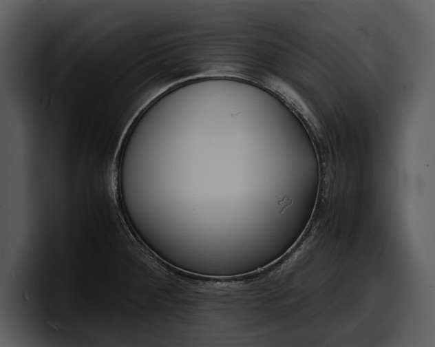 X0000100311284200806190935