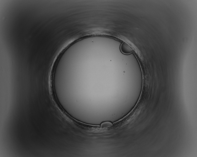 X0000100311285200806190935