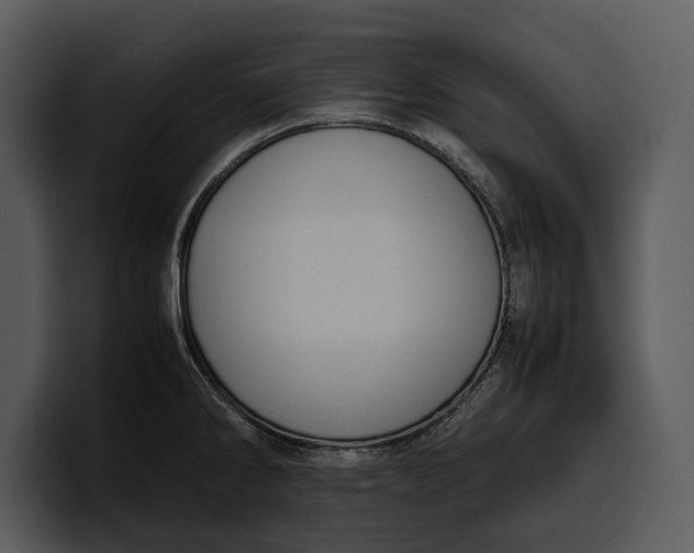 X0000100311286200806190935