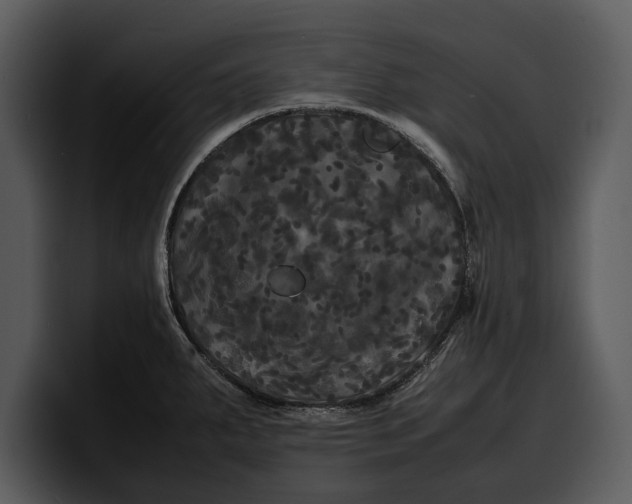 X0000100311287200806190935