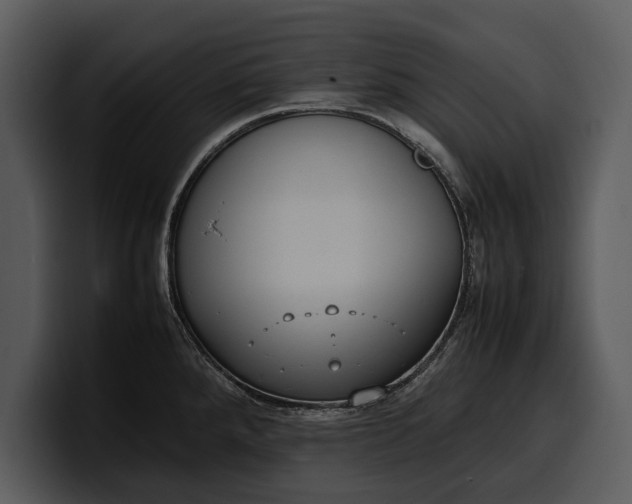 X0000100311288200806190935
