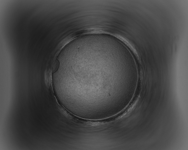 X0000100311289200806190935