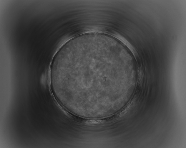 X0000100311290200806190935