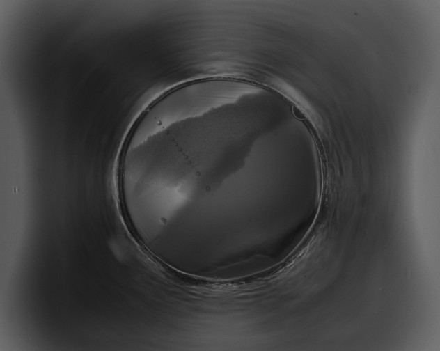 X0000100311291200806190935