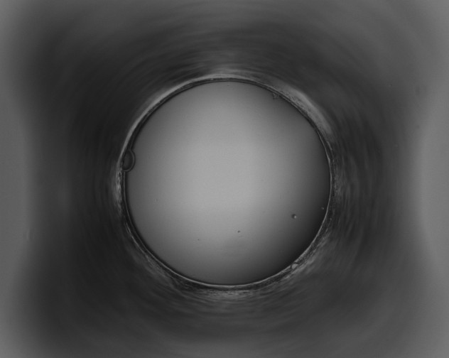 X0000100311292200806190935