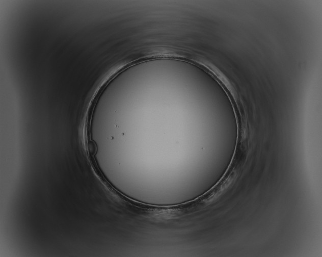 X0000100311293200806190935