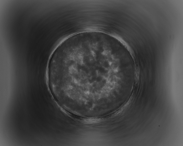 X0000100311294200806190935