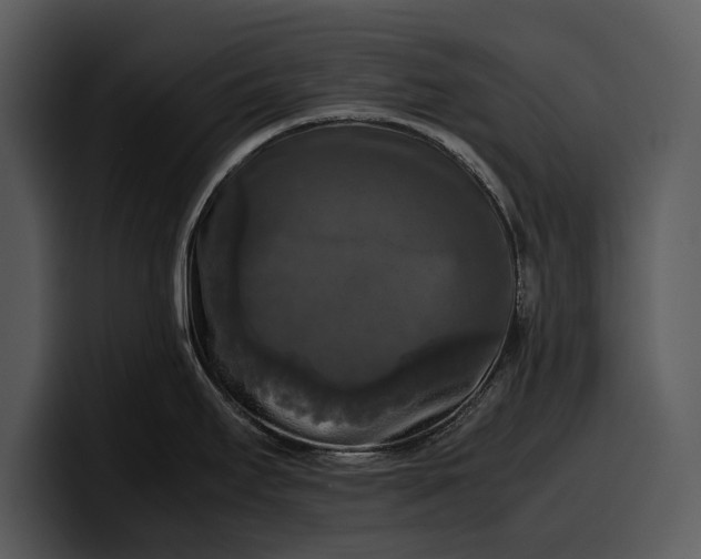 X0000100311295200806190935