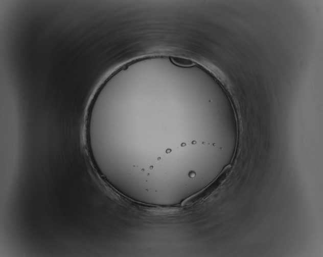 X0000100311296200806190935