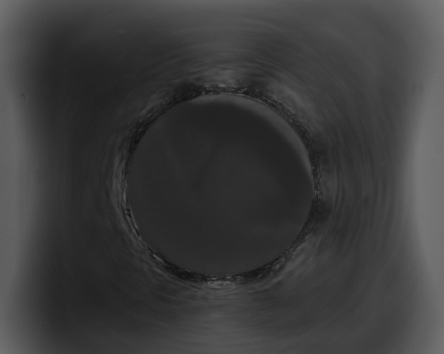 X0000100311297200806190934