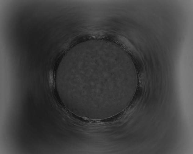 X0000100311298200806190934