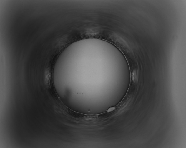 X0000100311299200806190934