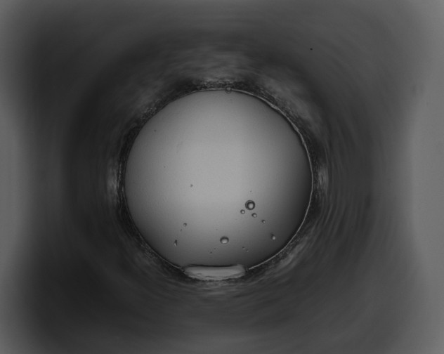 X0000100311300200806190934