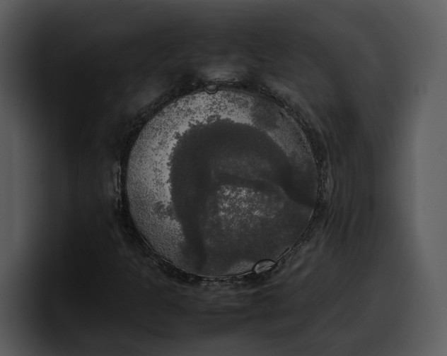 X0000100311301200806190934