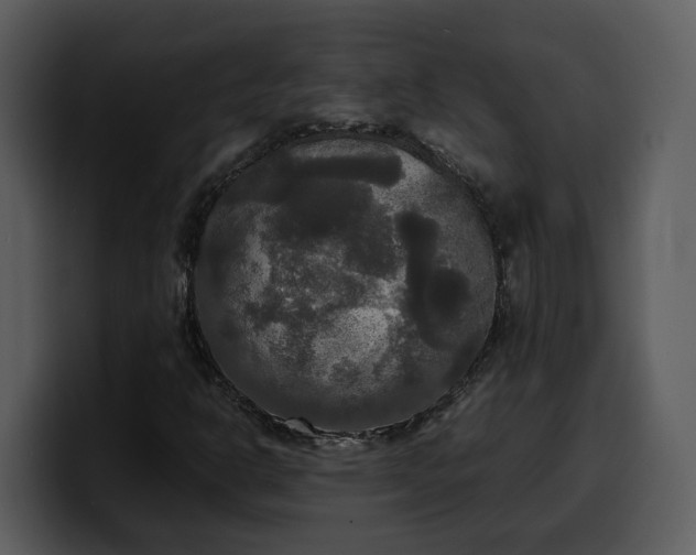 X0000100311302200806190934