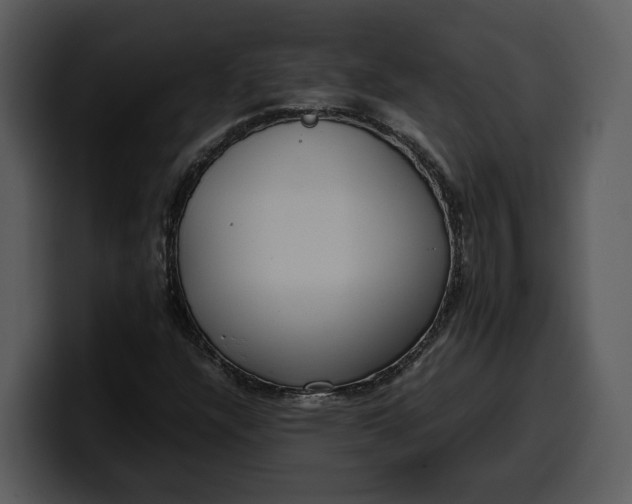 X0000100311304200806190934