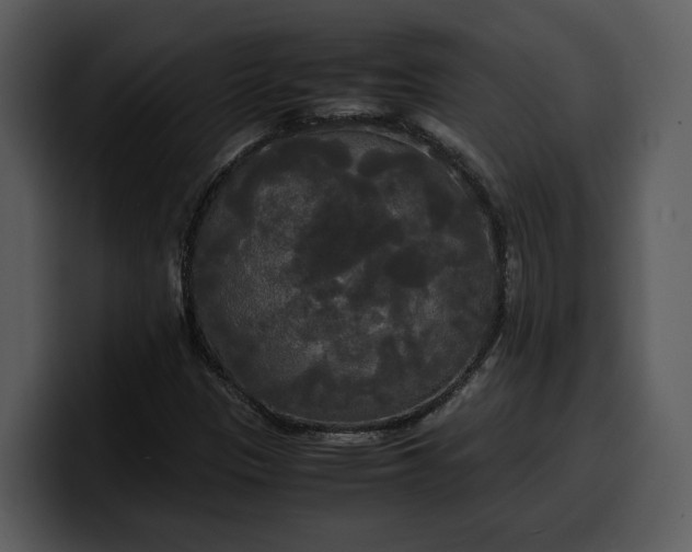 X0000100311305200806190934