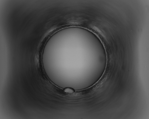 X0000100311307200806190934