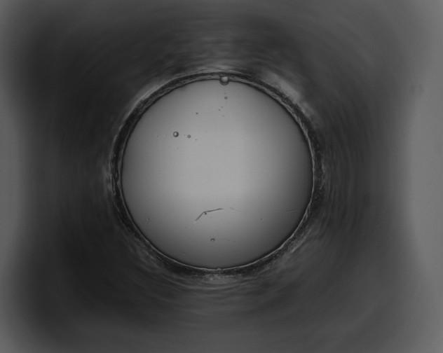 X0000100311308200806190934