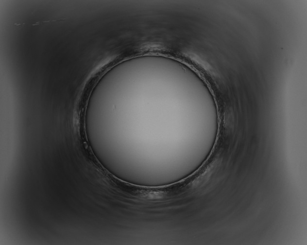 X0000100311309200806190934