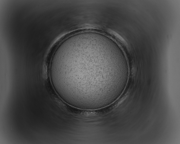 X0000100311310200806190934