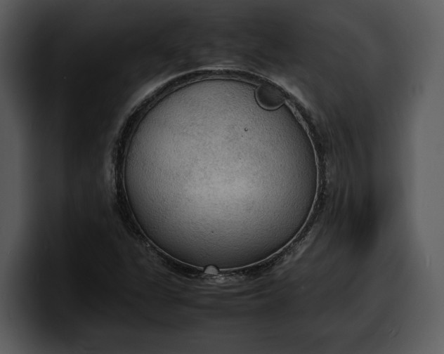 X0000100311311200806190934