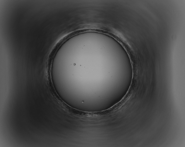 X0000100311312200806190934