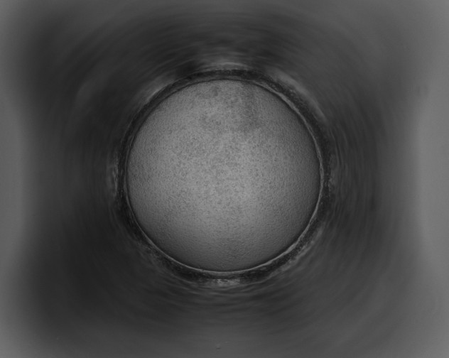 X0000100311313200806190934