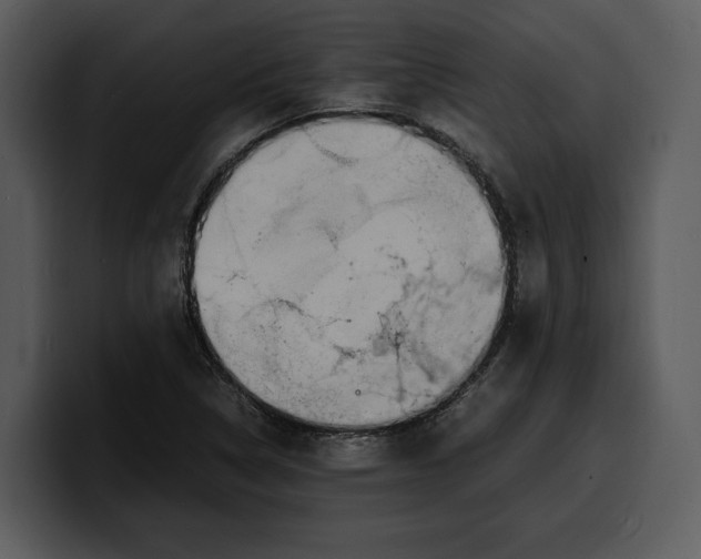 X0000100311314200806190934