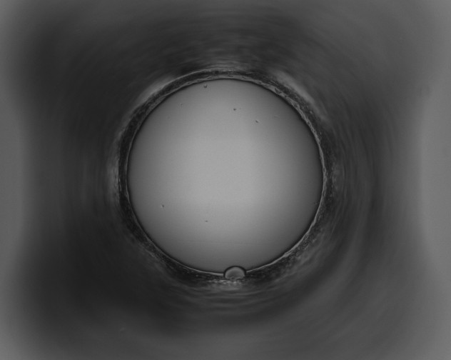 X0000100311315200806190934