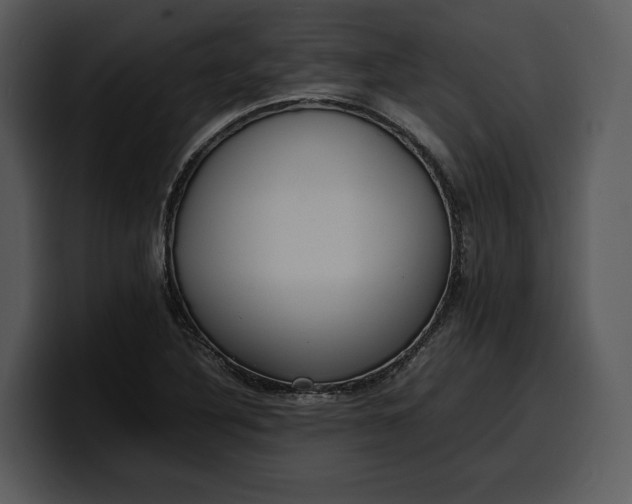 X0000100311316200806190934