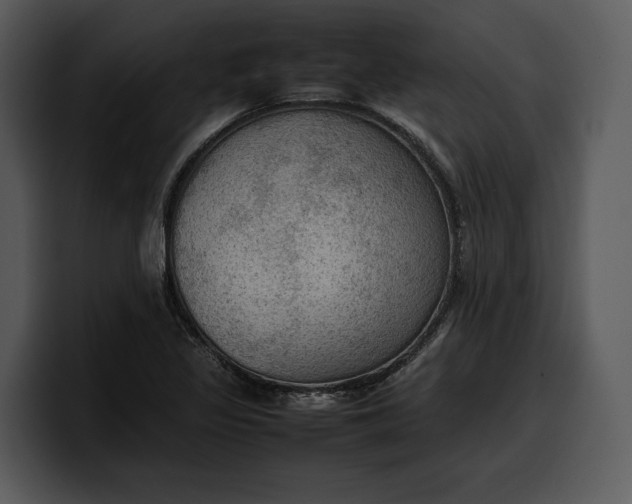 X0000100311317200806190934