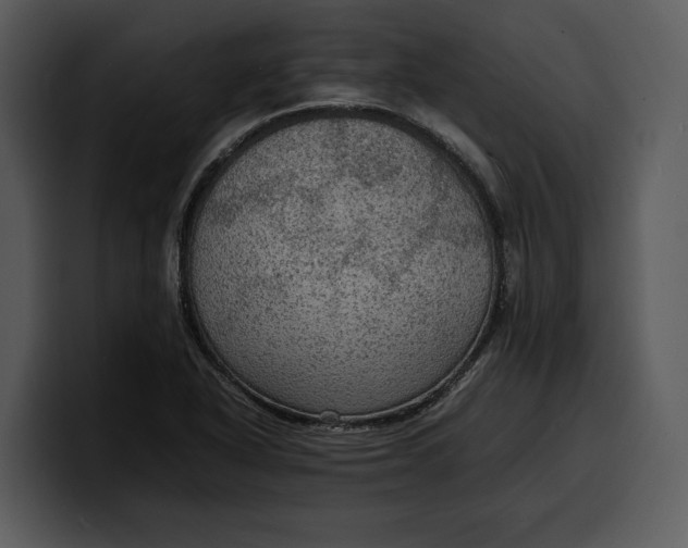 X0000100311318200806190934