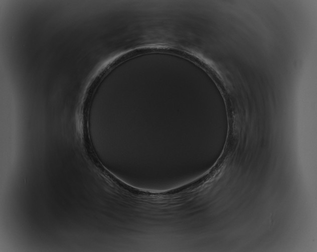 X0000100311319200806190934