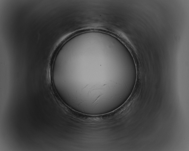 X0000100311320200806190934