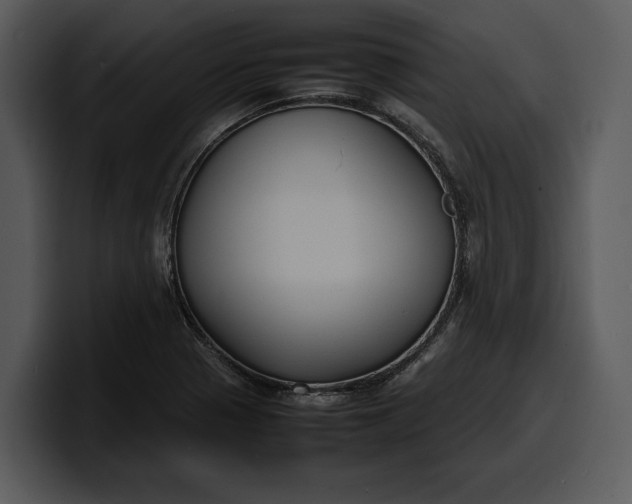 X0000100311321200806190934