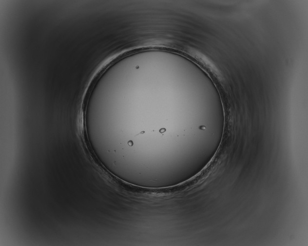 X0000100311324200806190934