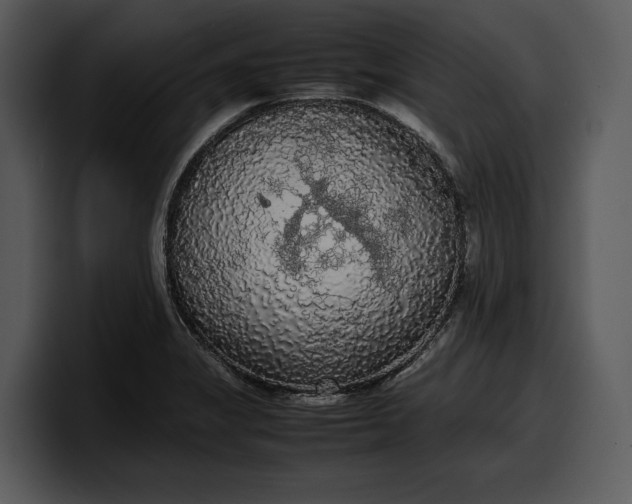 X0000100311325200806190934