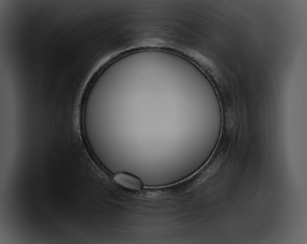X0000100311326200806190934