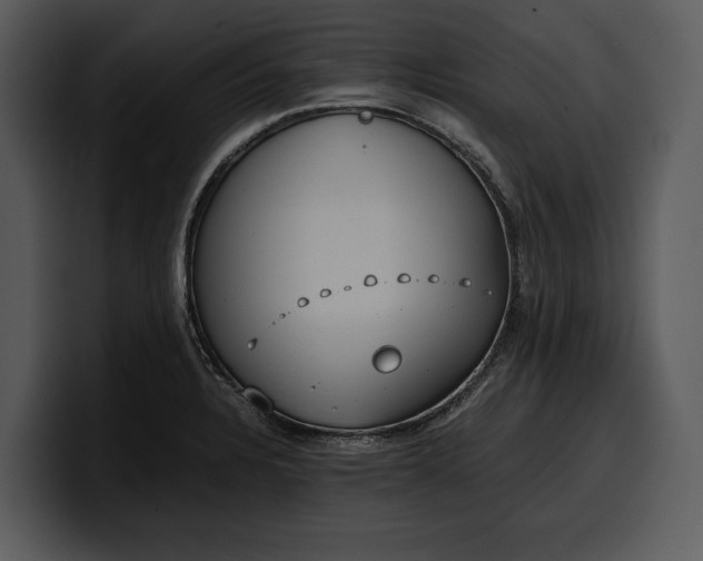 X0000100311328200806190934