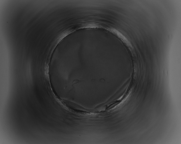 X0000100311329200806190934