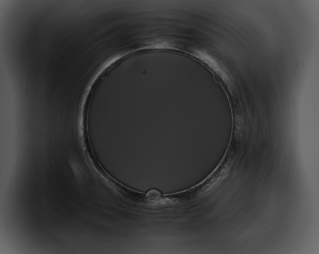 X0000100311331200806190934