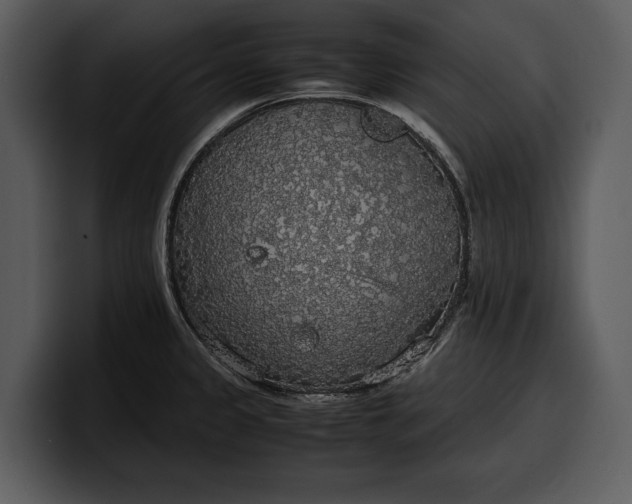 X0000100311333200806190934