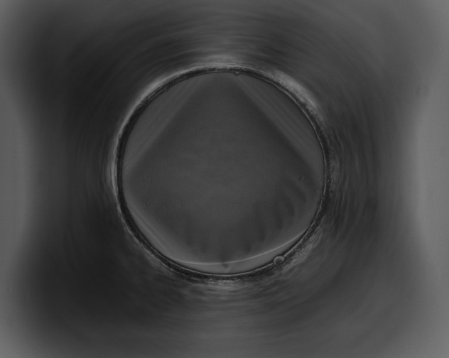 X0000100311334200806190934