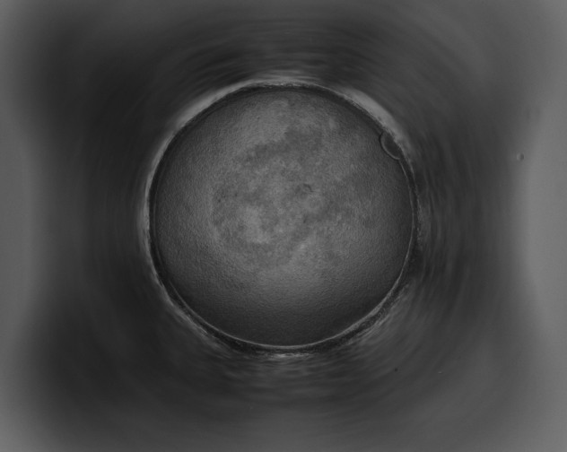 X0000100311335200806190934
