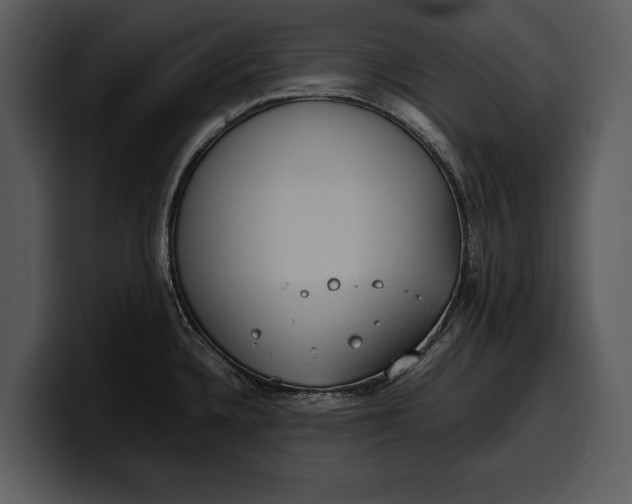 X0000100311336200806190934