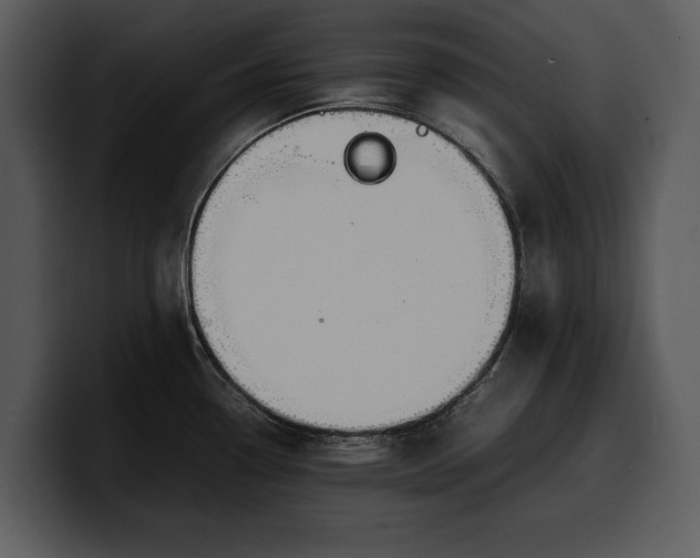 X0000100311338200806190934