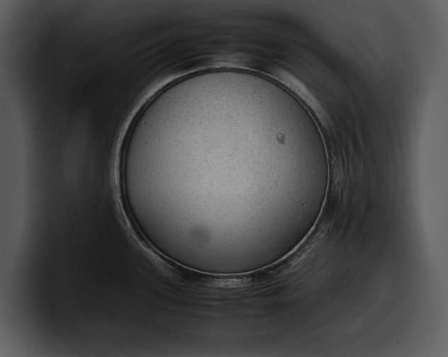 X0000100311339200806190934