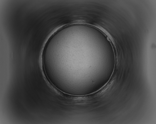 X0000100311341200806190935