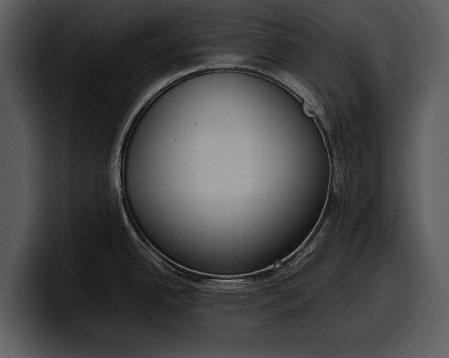 X0000100311342200806190935